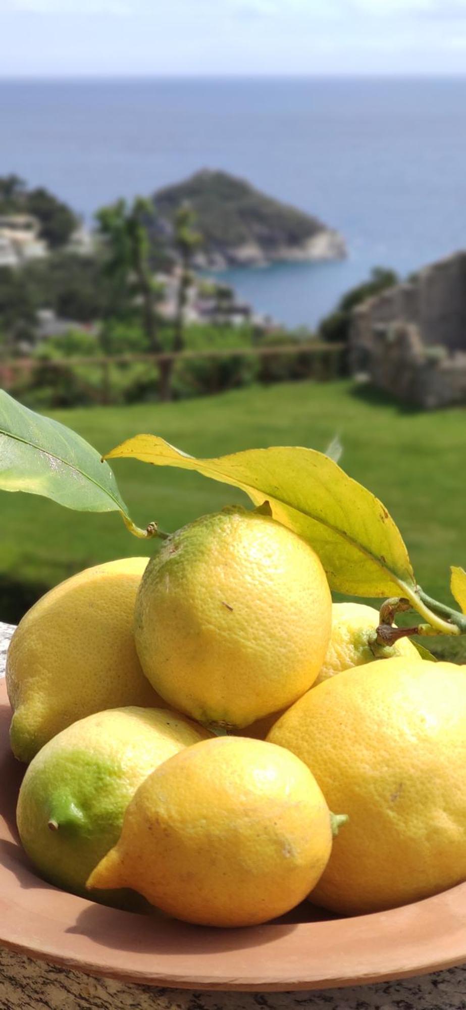 Il Giardino Sull'Isola - Appartamento - Bergeggi Extérieur photo