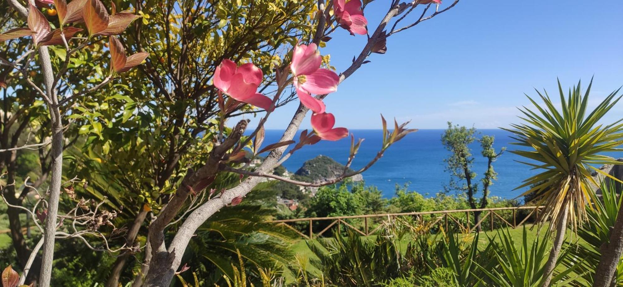 Il Giardino Sull'Isola - Appartamento - Bergeggi Extérieur photo